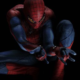 Amazing Spider-Man, The / Spider-Man 3D Poster
