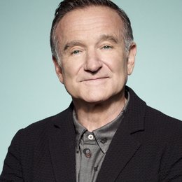 Crazy Ones, The / Robin Williams Poster