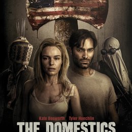 domestics-the-2 Poster