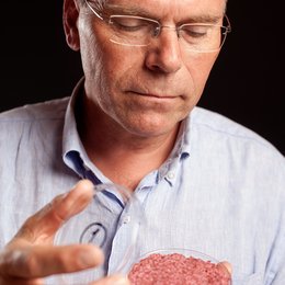 End of Meat - Eine Welt ohne Fleisch, The Poster