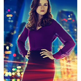 Flash, The / Danielle Panabaker Poster