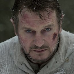 Grey - Unter Wölfen, The / Liam Neeson Poster