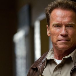 Last Stand / Arnold Schwarzenegger Poster