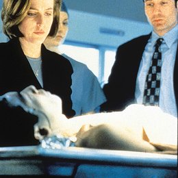 Akte X / Gillian Anderson / David Duchovny / The X-Files Poster