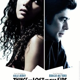 Things We Lost in the Fire Poster