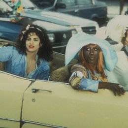 To Wong Foo, Thanks for Everything! Julie Newmar / John Leguizmao / Wesley Snipes / Patrick Swayze Poster