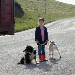 Unsere Farm in Irland: Liebe meines Lebens (ZDF) / Noemi Slawinski Poster