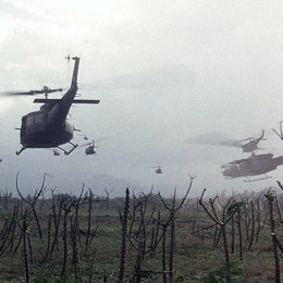 Vietnamkrieg - Trauma einer Generation, Der Poster