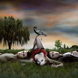 Vampire Diaries / Paul Wesley / Nina Dobrev / Ian Somerhalder Poster