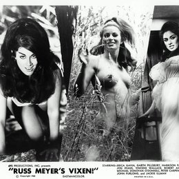 Russ Meyer Collection: Vixen Poster