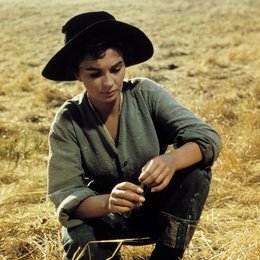 Weites Land / Jean Simmons Poster