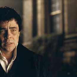 Wolfman / Benicio Del Toro Poster