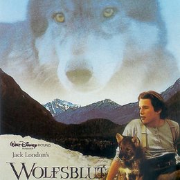 Wolfsblut Poster