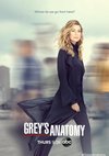 Poster Grey's Anatomy Staffel 18