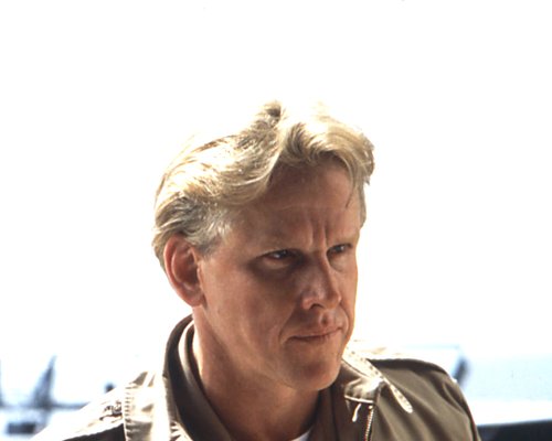 Gary Busey 1944 Portrait Kino De