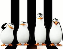 Frischer Trailer zu "Die Pinguine aus Madagascar"