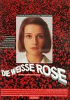Poster Die Weiße Rose 
