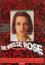 Die Weiße Rose