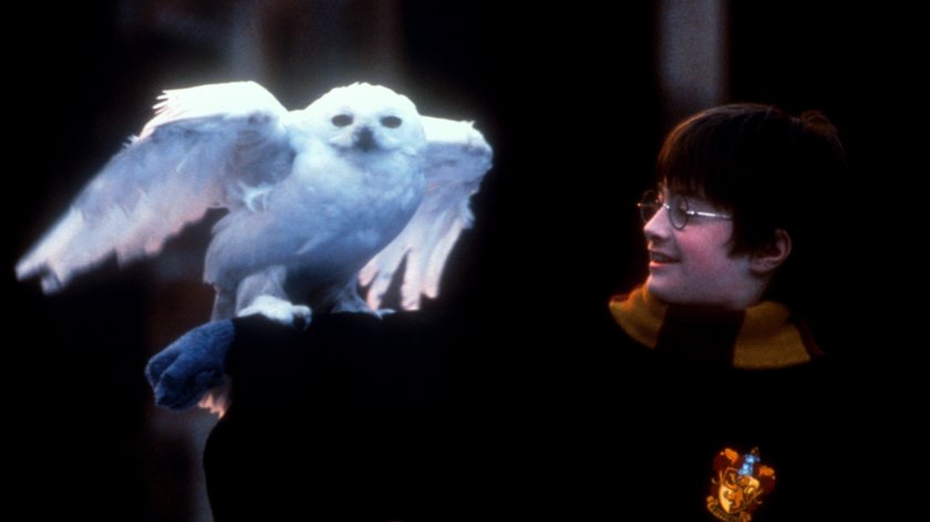 „Harry Potter – Wizards Unite“: Ab Freitag für Android und iOS im Handel in den USA!