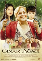 Poster Çinar agaci