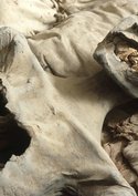 Nofretete und das Geheimnis der Mumie