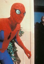 Poster Spider-Man - Der Spinnenmensch