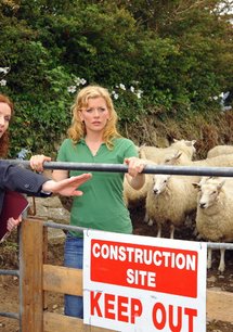 Unsere Farm in Irland: Rätselraten