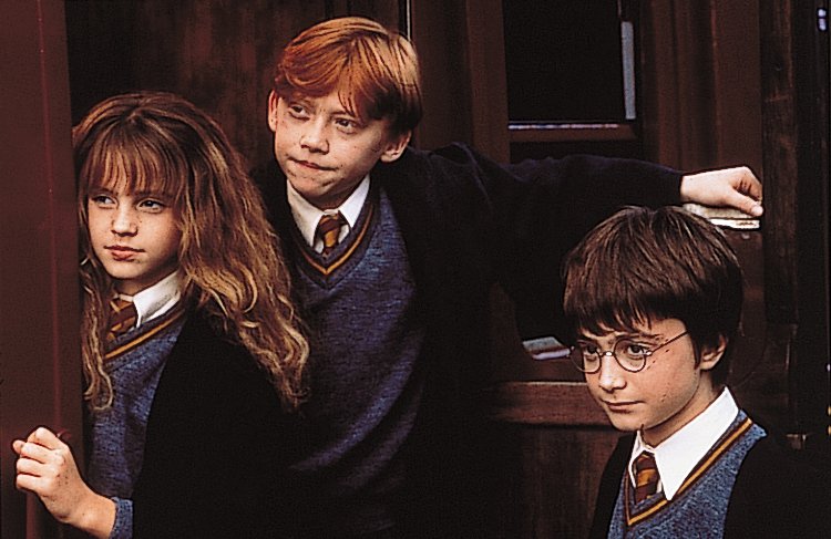 Poster Harry Potter Wizard's Collection