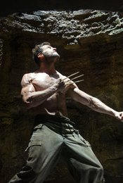 X-Men Origins: Wolverine / The Wolverine