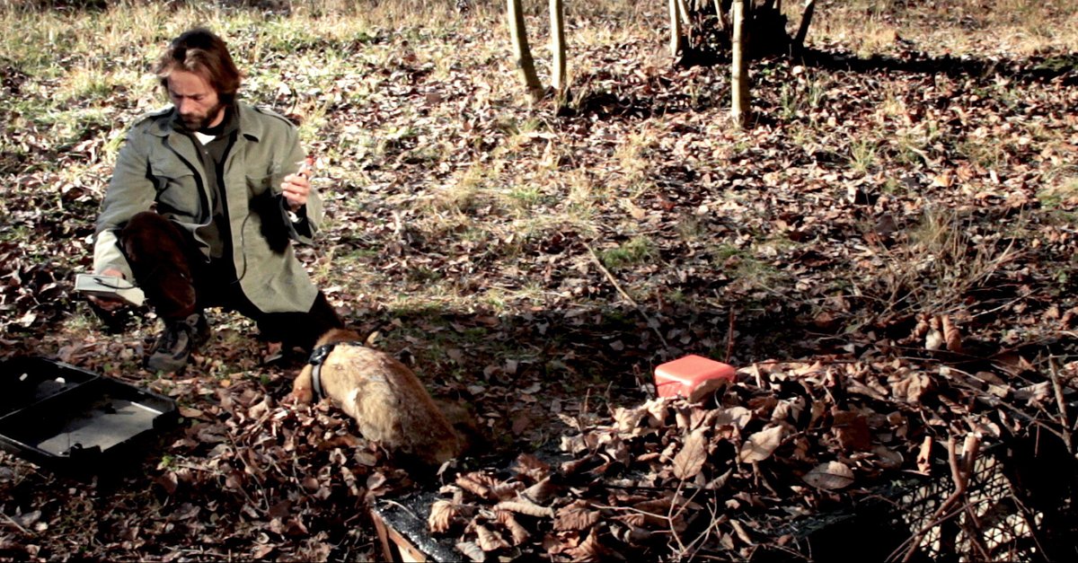 Across the River · Film 2014 · Trailer · Kritik