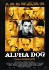 Poster Alpha Dog - Tödliche Freundschaften 