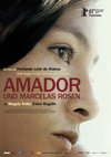 Poster Amador und Marcelas Rosen 