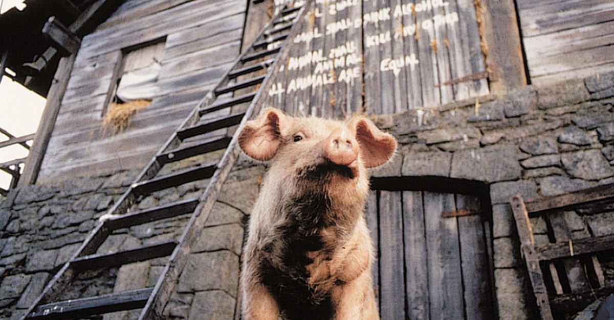 Animal Farm · Film 2000 · Trailer · Kritik · KINO.de