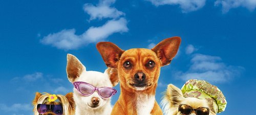 Beverly Hills Chihuahua Film 2009 Trailer Kritik Kino De