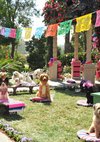 Poster Beverly Hills Chihuahua 3 - Viva La Fiesta! 