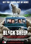 Poster Black Sheep 