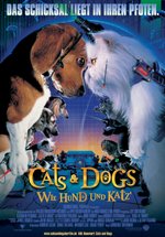 Poster Cats & Dogs - Wie Hund und Katz