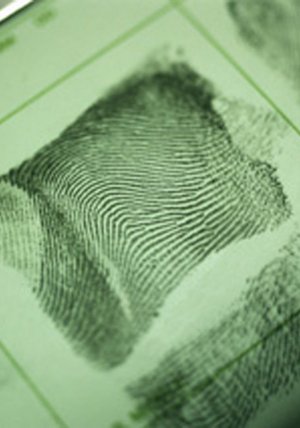 Cold Case Kein Opfer Ist Je Vergessen Stream