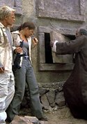 Das Jesus Video (2 Teile)