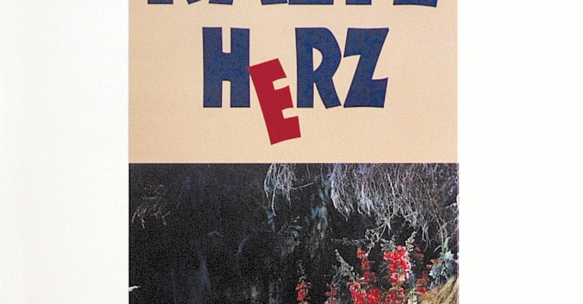 Das Kalte Herz Stream Streaminganbieter Kino De