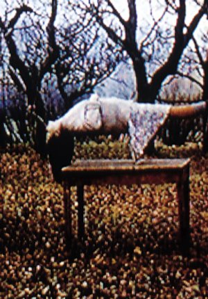 Der Garten · Film 1996 · Trailer · Kritik