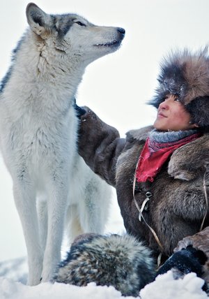 Der Junge Und Der Wolf Der Junge Und Der Wolf