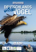 Poster Deutschlands wilde Vögel