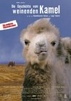 Poster Die Geschichte vom weinenden Kamel 