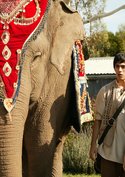 Elephant Princess - Zurück nach Manjipoor