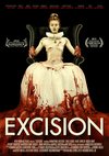 Poster Excision 