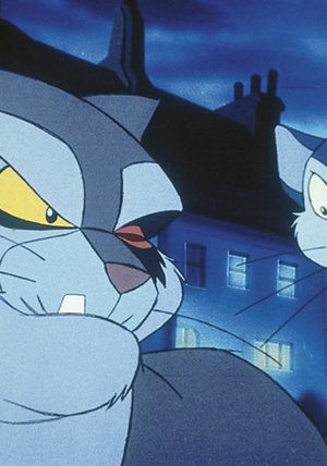Felidae Stream Felidae Stream