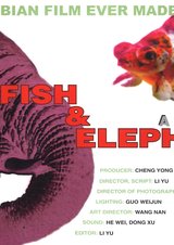 Fish &amp; Elephant