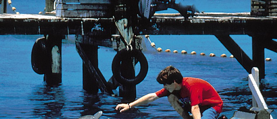 Flipper Film (1996) · Trailer · Kritik · KINO.de