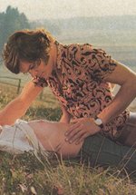 Poster&#x20;Hausfrauen-Report&#x20;2.&#x20;Teil&#x3A;&#x20;Der&#x20;neue&#x20;Hausfrauen-Report